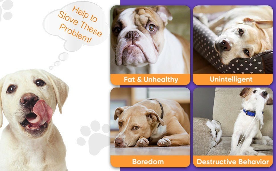 Interactive Dog Toys Ball, Automatic Rolling Toy, Lively Pet Ball For Medium ,Large Dogs To Relieve Boredom, Activated Automatic Motion Dog Balls Toy With LED Flash, USB Rechargeable Orange Purple