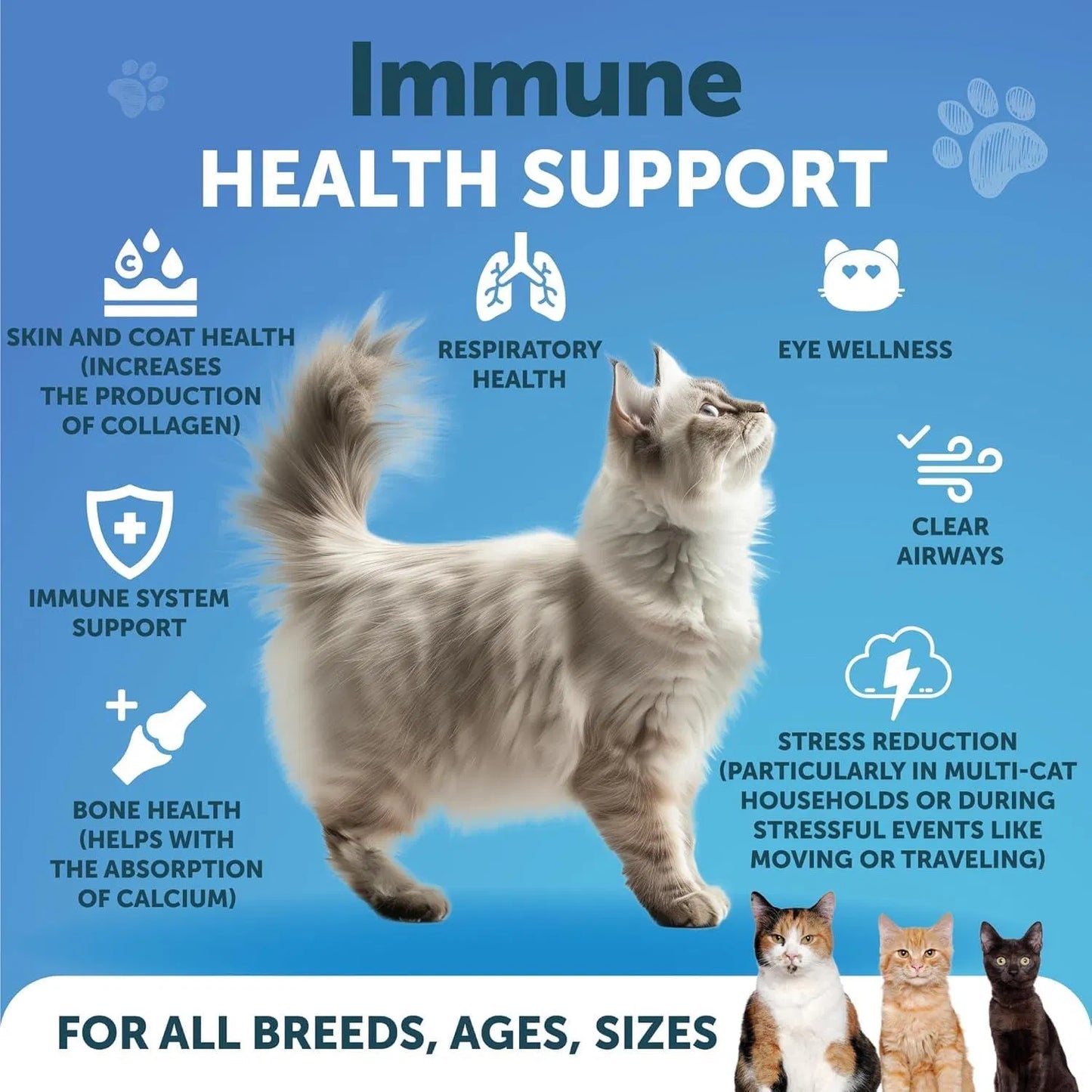Do Not Sell On Amazon L Lysine For Cats Lysine Powder Supplement 900mg Serving Immune Support For Cats & Kittens Sneezing Runny Nose Squinting Watery Eyes Cold Eye Respiratory Health With Taurine