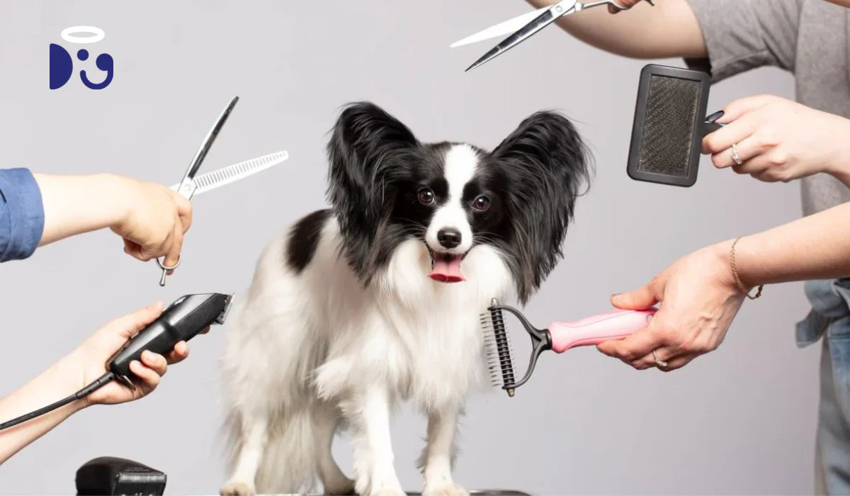 Dog Grooming