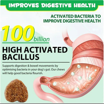 OEM Hot Sales Probiotics Chews For Pets Customized Shape For Digestive Health Pets Supplement Healthy Gut For Dogs