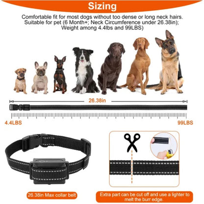 Dog Training Collar Receiver IP67 Waterproof