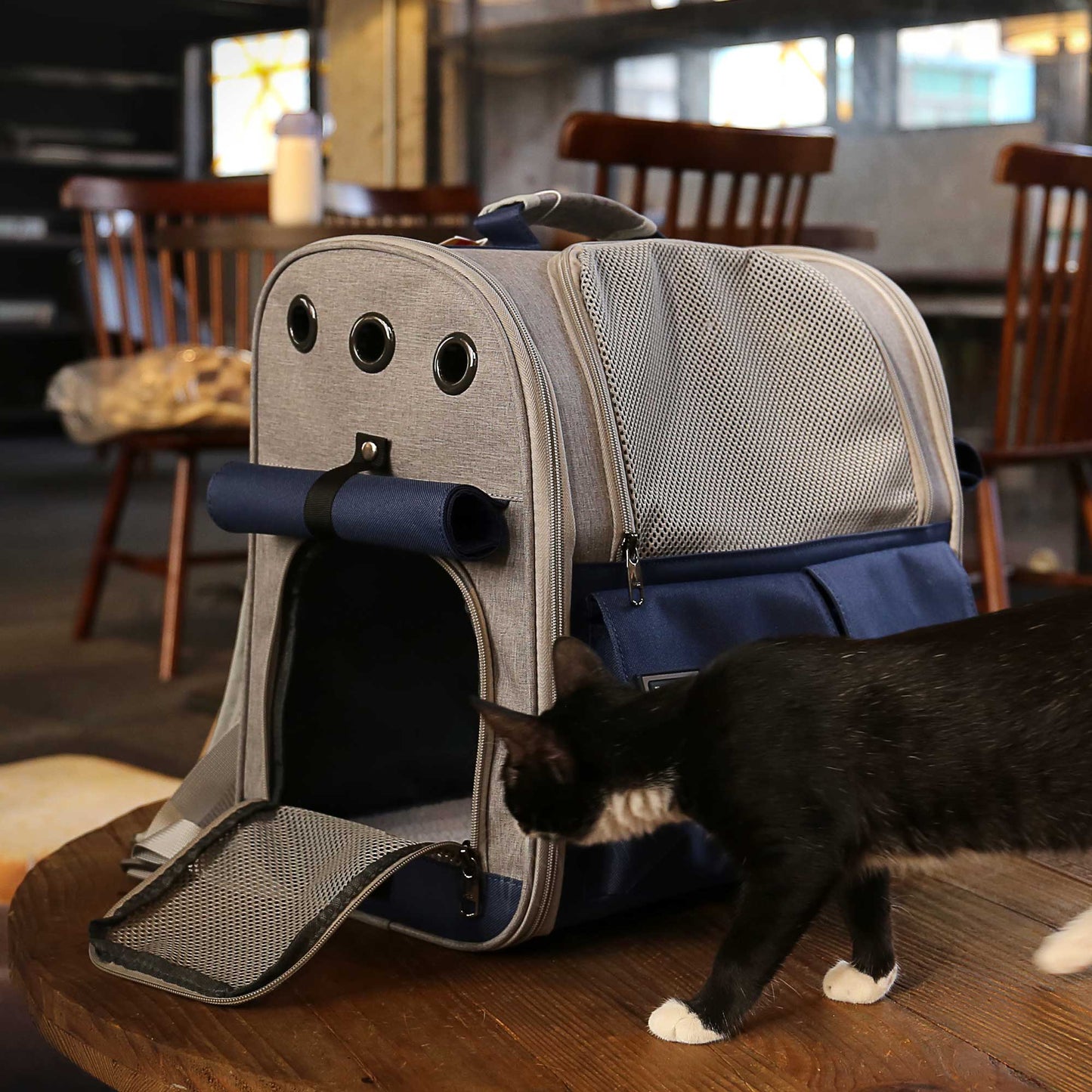 Stylish And Spacious Foldable Soft Pet Carrier For Dogs And Cats