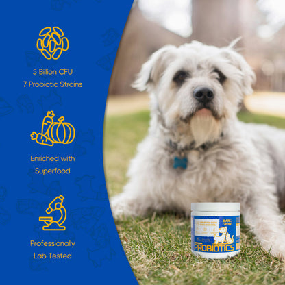 Bark And Meow Probiotics For Dogs & Cats  7 Tailored Strains  Prebiotics, Pumpkin & Carrot  5 Billion CFU Scoop Human-Grade Non-GMO, Vet-Approved Made In USA, Gut  Immune Support