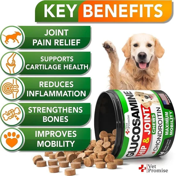 Glucosamine For Dogs 2 Pack Hip And Joint Supplement With Chondroitin 240 Chews