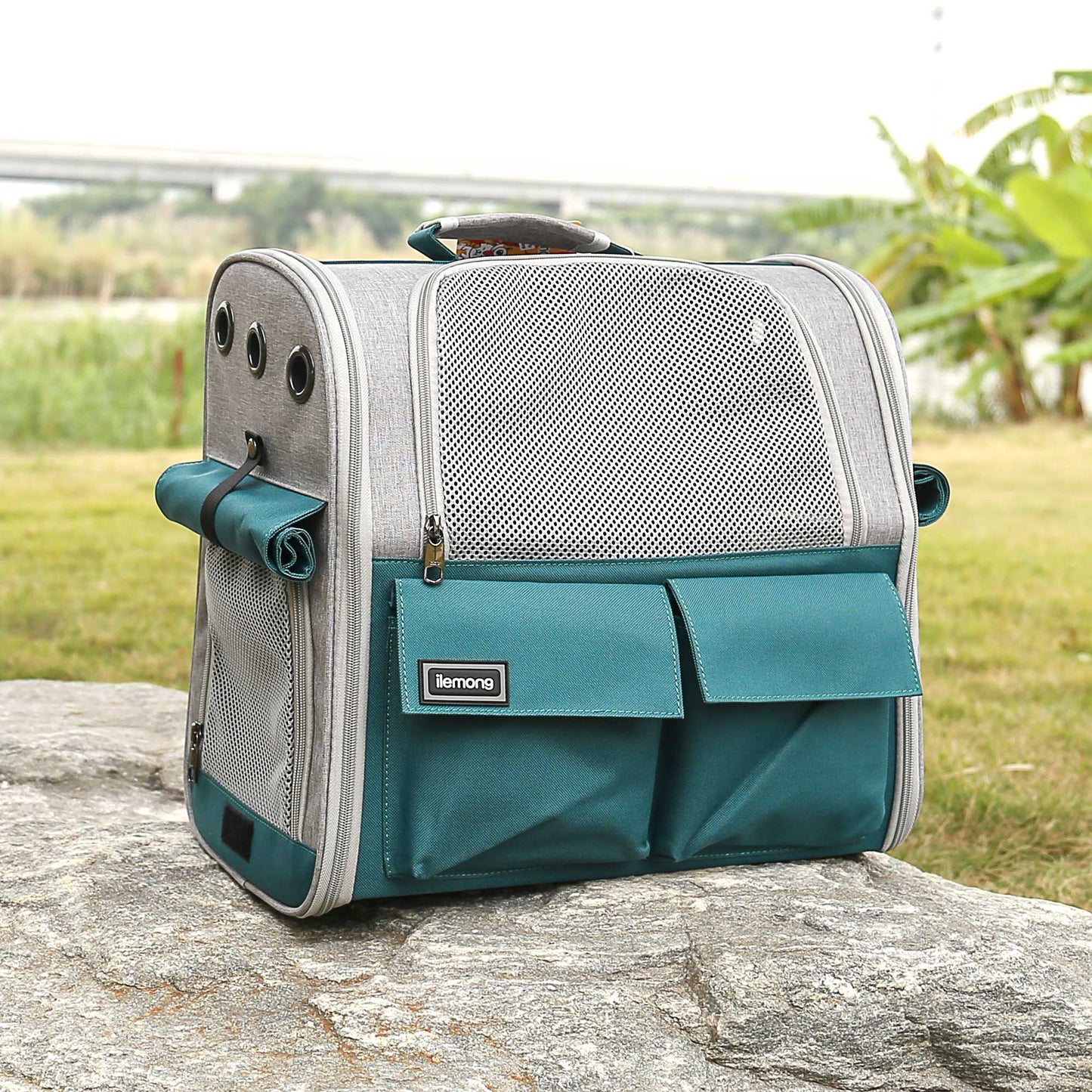 Stylish And Spacious Foldable Soft Pet Carrier For Dogs And Cats